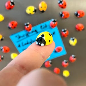 Ladybug fridge magnets | 5 to 25 mini insect magnets | Gift idea image 5