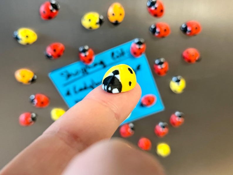 Ladybug fridge magnets | 5 to 25 mini insect magnets | Gift idea image 5