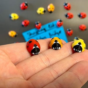 Ladybug fridge magnets | 5 to 25 mini insect magnets | Gift idea image 7