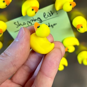 Imanes de pato para nevera | De 5 a 25 mini imanes de animales | Idea de regalo imagen 4