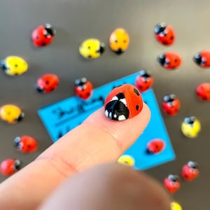 Ladybug fridge magnets | 5 to 25 mini insect magnets | Gift idea image 2