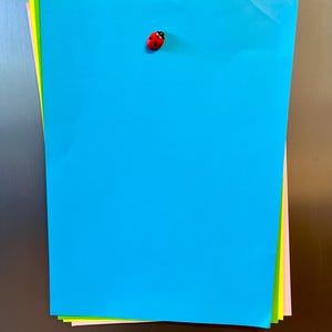 Ladybug fridge magnets | 5 to 25 mini insect magnets | Gift idea image 10