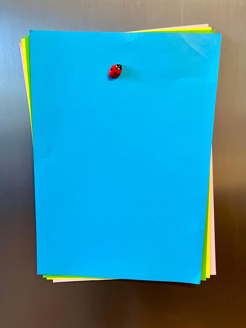Ladybug fridge magnets | 5 to 25 mini insect magnets | Gift idea image 10