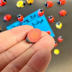 Ladybug fridge magnets | 5 to 25 mini insect magnets | Gift idea image 4