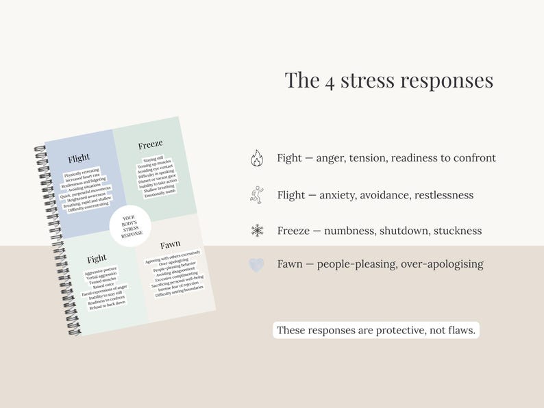 Nervous System & Stress Responses Workbook | Fight Flight Freeze Fawn ...