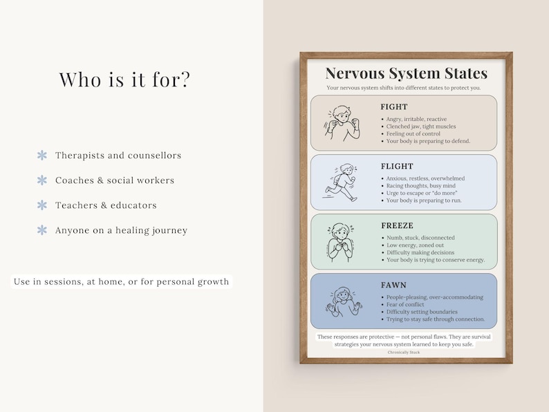 K&ouml;nnte beinhalten: Ein gerahmtes Lehrplakat mit dem Titel Nervous System States, das vier farbcodierte Abschnitte mit den Bezeichnungen Fight, Flight, Freeze und Fawn enth&auml;lt. Jeder Abschnitt enth&auml;lt eine Strichzeichnung und Aufz&auml;hlungspunkte zu Reaktionen.