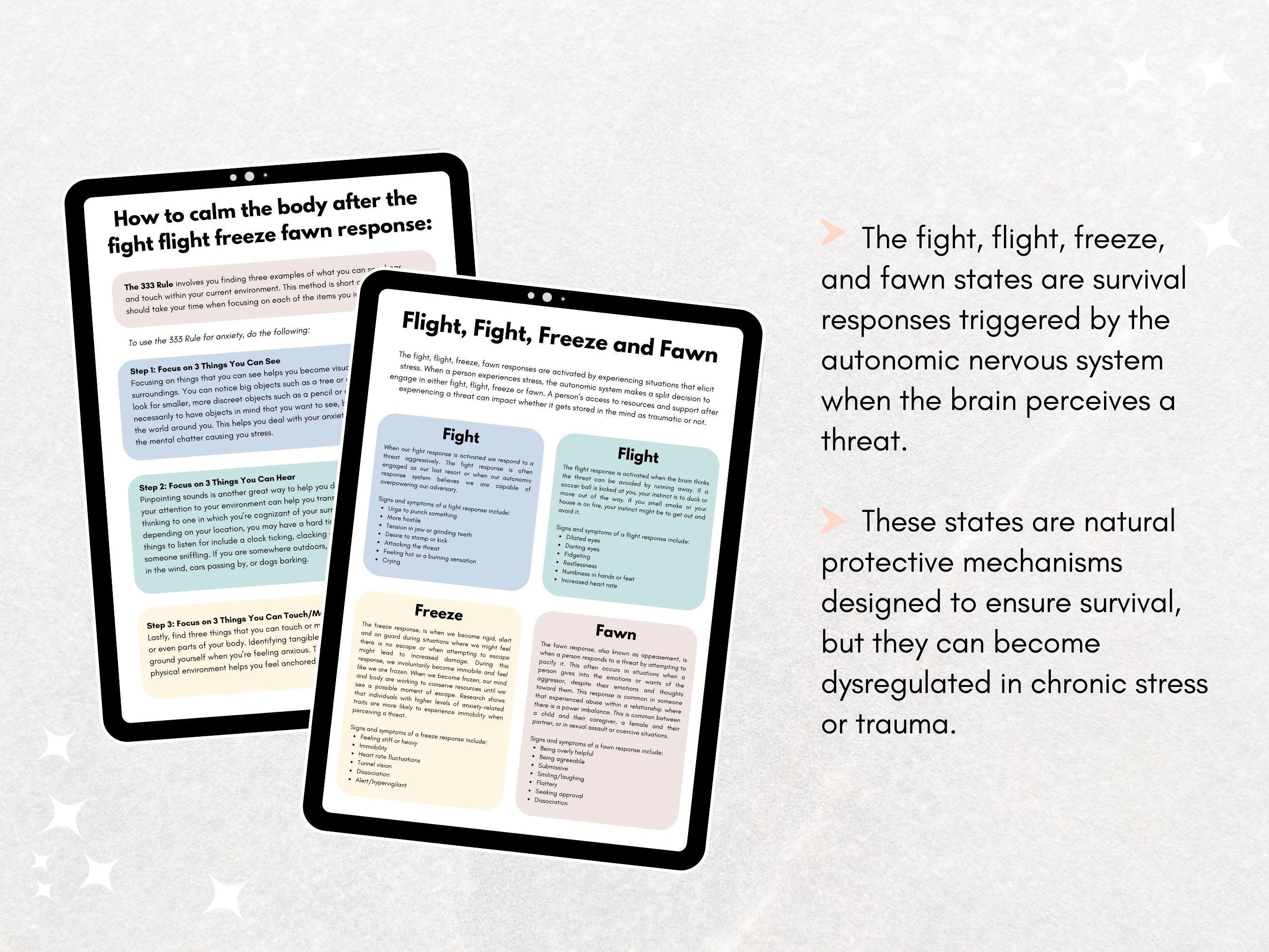 Nervous System States | Fight Flight Freeze and Fawn | Stress Responses ...
