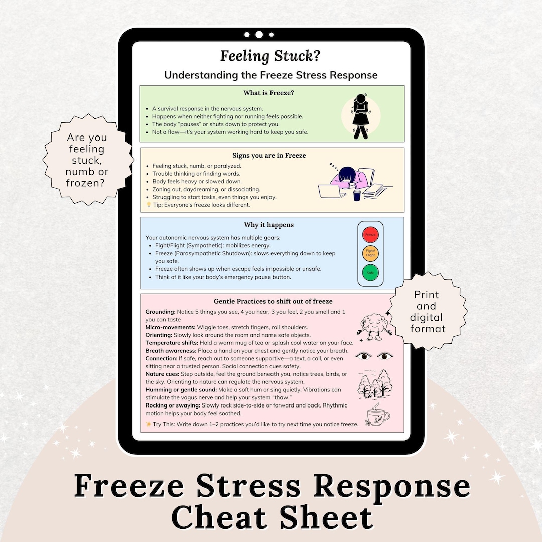 The Freeze Stress Response Cheat Sheet, Nervous System Regulation ...