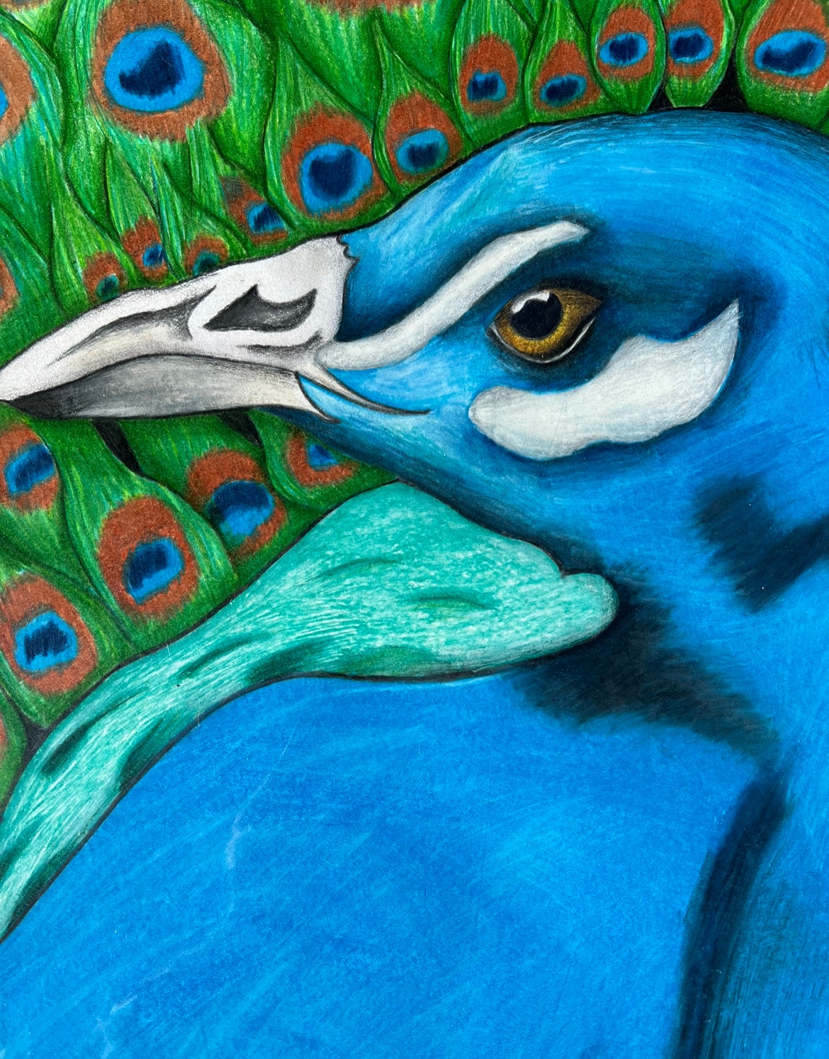 Colored Pencil Peacock Drawing on Paper - Etsy