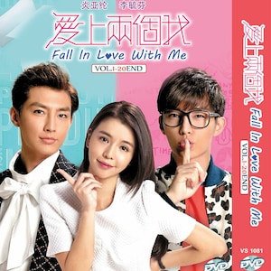 DVD TAIWANESE DRAMA Series Fall in Love With Me爱上两个我