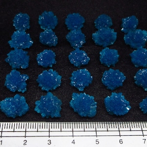 May include: Twenty-four bright blue crystal clusters arranged in four rows of six, measured against a ruler in centimetres.