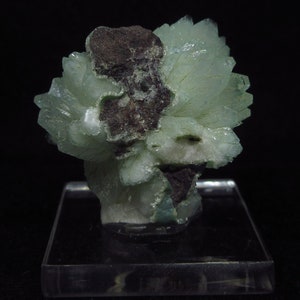 Puede incluir: Un grupo de cristales verde claro con una inclusión mineral marrón oscuro. Los cristales están dispuestos en forma de roseta y se muestran sobre una base de acrílico transparente.