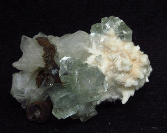 May include: A cluster of green fluorite crystals with white and brown crystals. The fluorite crystals are translucent and have a glassy luster.