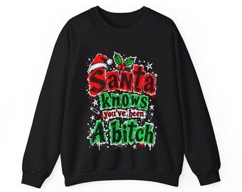 Christmas Sweatshirt, Santa Knows You've Been a Bitch, Naughty Christmas Sweater, Rude Santa Crewneck