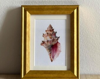 Pink Sea Shell Framed Art Print – Little joys Series