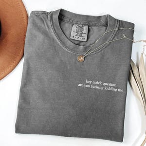 Hey Quick Question Are You Kidding Me Shirt- Funny Humor Shirt- Funny Girls Shirt- Sarcasm Shirt- Trendy Shirt for Women