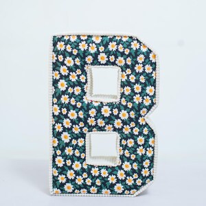 Oreiller en tissu à lettres monogrammes, nom décoratif pour chambre d'enfant, alphabet pour chambre d'enfants, décoration personnalisée pour chambre de tout-petit, coussin en peluche douce