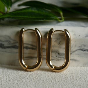 May include: A pair of gold oval hoop earrings. The earrings are simple and elegant, and would make a great addition to any jewellery collection.