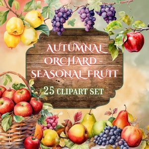 Conjunto de clipart de pomar de outono // Ilustrações digitais de frutas de outono // Ilustrações digitais de colheita de outono // Cliparts de frutas de outono // Cottagecore Cliparts
