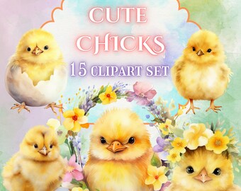 Watercolor Easter Chick Clipart Set, Spring PNGs (Digital Download)