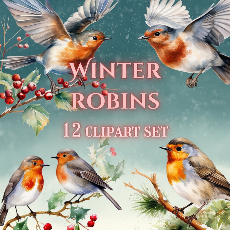 Christmas Robin Clipart Set, Winter Birds (digital Download) - Etsy