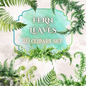 Lot de cliparts fougères aquarelles // feuilles de fougères et bordures de verdure // PNG transparents fougères aquarelles // cliparts forêt aquarelle