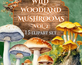 Watercolor Mushroom Clipart Set, Fantasy Woodland PNG Bundle (Digital Download)