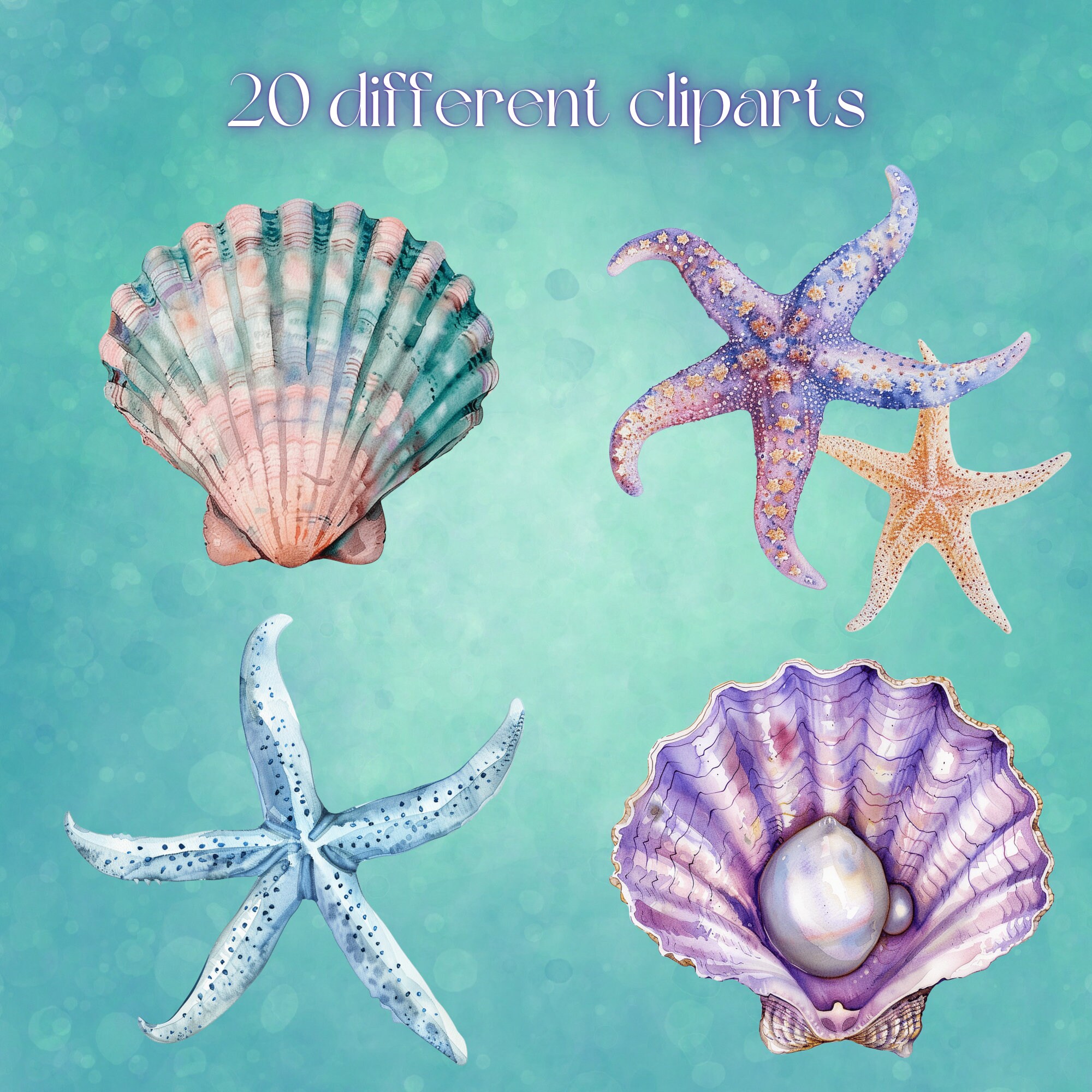 Pastel Seashell Clipart Set, Watercolor Ocean PNG (digital Download) - Etsy