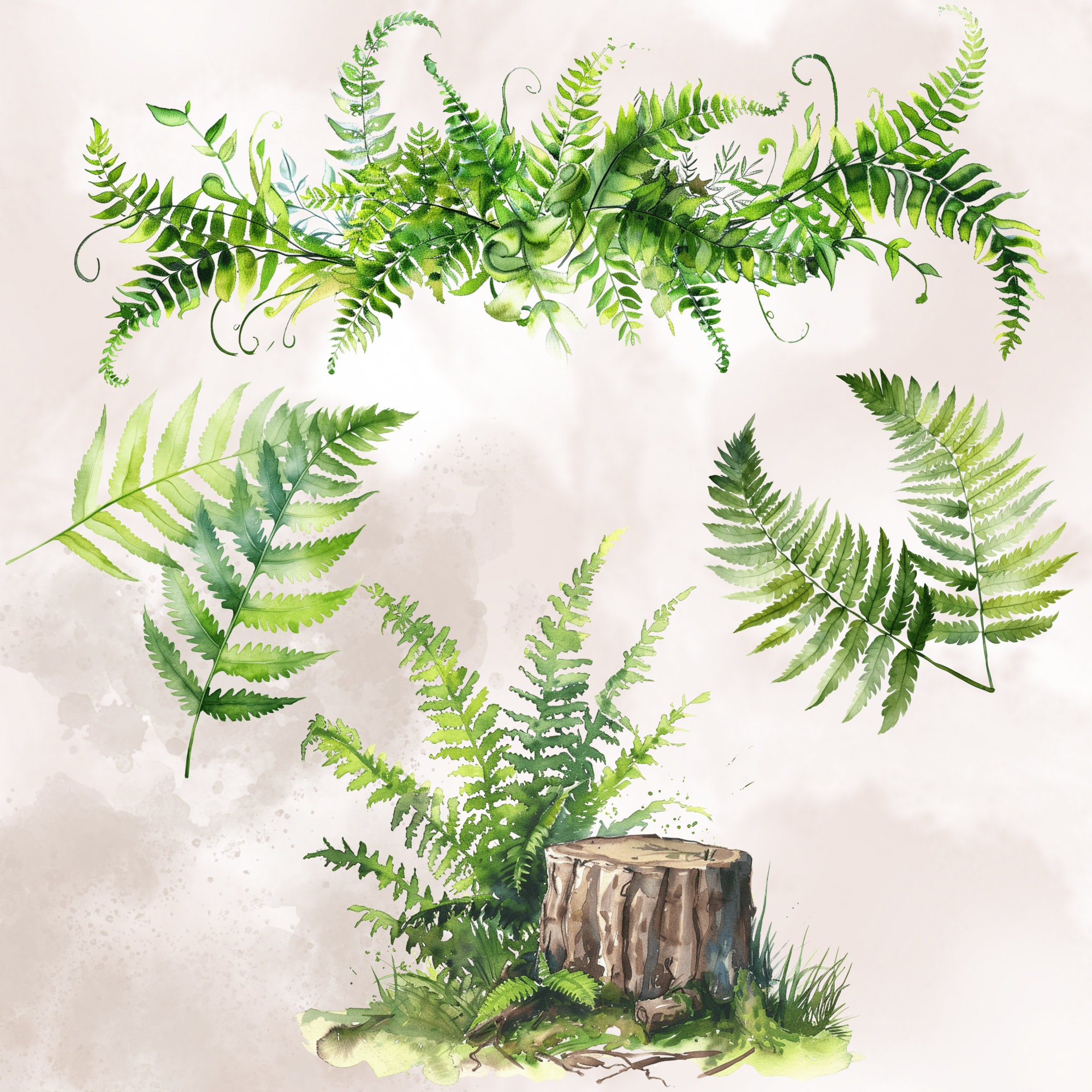 Fern Frame Graphics Watercolor Fern Clipart Bundle, Greenery Borders (digital Download) - Etsy