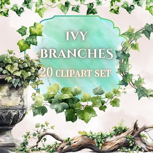 Ivy Watercolor Clipart Set // Ivy Vine Borders // Watercolor Ivy Frames // Greenery Transparent PNGs // Ivy Branch Clipart Bundle