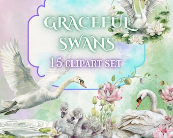 Watercolor Swan Clipart Set, Elegant Swan Illustrations (Digital Download)