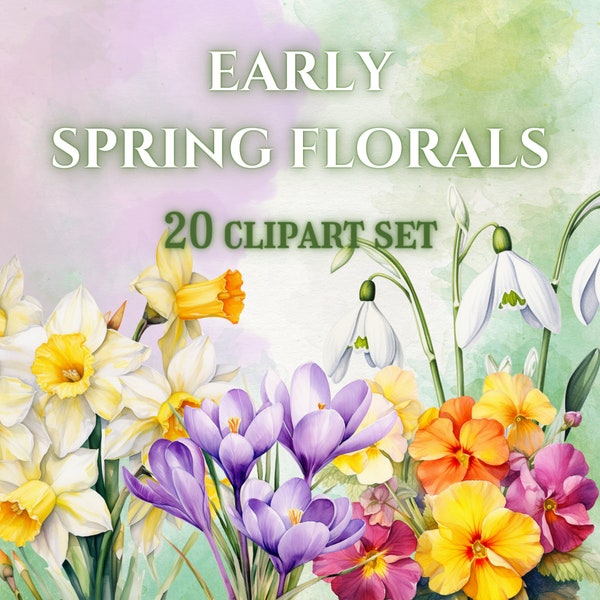 Watercolor Spring Flower Clipart Set, 20 PNGs (Digital Download)