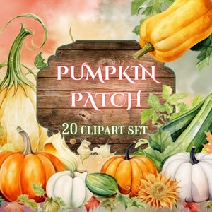 Paquete de imágenes prediseñadas de calabaza de acuarela // Imágenes prediseñadas de parche de calabaza de otoño // Conjunto de imágenes prediseñadas Cottagecore de temporada // Imágenes prediseñadas de otoño para uso comercial