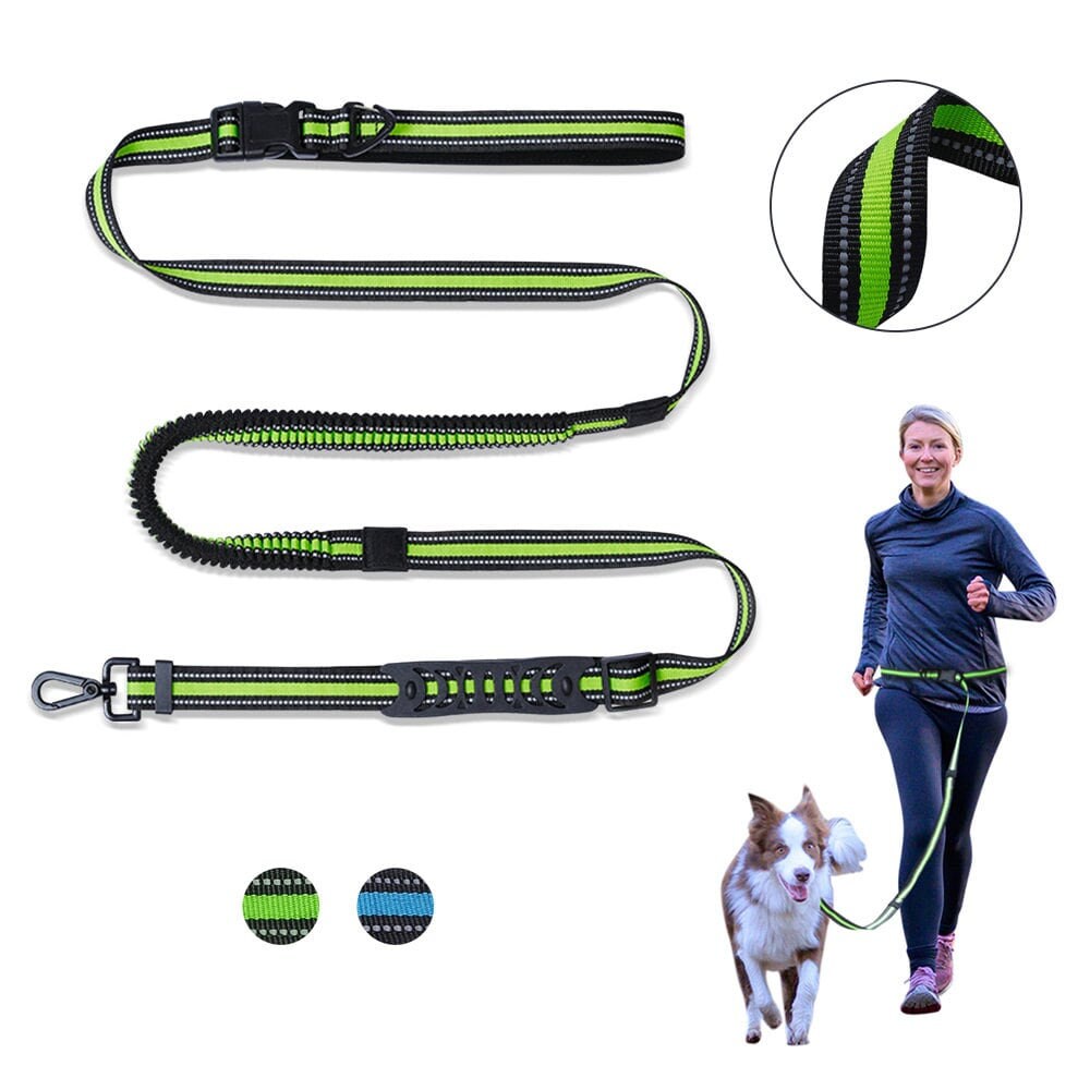 Running sales dog lead
