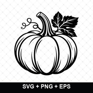May include: A black and white digital illustration of a pumpkin featuring a prominent stem, a single curly vine, and a large serrated leaf. The graphic is presented on a white background with a faint grid pattern and the text SVG + PNG + EPS.