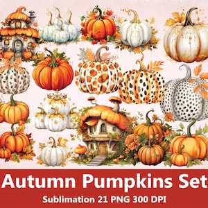 21 Conjunto de calabazas de otoño png, Sublimación de calabaza de otoño png, Diseño de calabaza de otoño, Paquete de calabaza de otoño, Clipart de calabaza png, Calabaza png