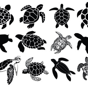 Sea Turtle svg Bundle, Tortoise svg, Sea Turtle Clipart, Turtle Cricut File, Sea Turtle Cut File, Floral Turtle svg, Instant Download