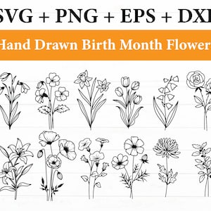 Birth Month svg Bundle, Floral Month svg Bundle, Birth Flower svg, Floral svg, Flower svg, Botanical svg, Daisy svg, Digital Download