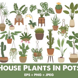 Op de afbeelding: Een verzameling kamerplanten in potten, waaronder een cactus, een succulent, een varen en een verscheidenheid aan bladplanten. De planten staan in verschillende potten, waaronder terracotta, keramiek en metaal. De afbeelding is tegen een witte achtergrond geplaatst.