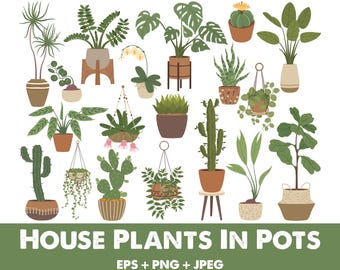 House Plant svg Bundle, Hand Drawn Plant svg, Plant Clipart, Plant svg Bundle, Floral svg, Hanging Plant svg, Leave svg, Gardening Cut File