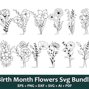 Pacote svg mês de nascimento, svg mês de nascimento, svg flor mês de nascimento, svg flor de nascimento, svg rosa, svg margarida, svg aniversário, silhueta flor de nascimento