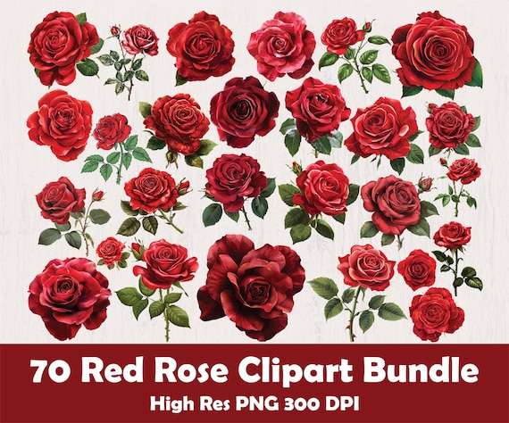 70 Red Rose Clipart png Bundle, Red Rose Clipart, Watercolor Red Rose Clipart, Red Roses png Bundle, Wedding Bouquet png, Digital Download