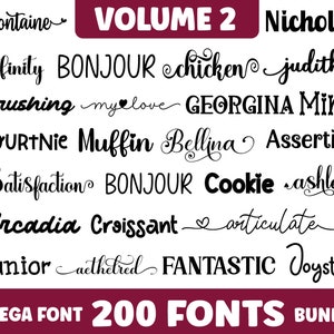 The Ultimate 200 Fonts, Procreate Font Bundle TTF Heart font, Cricut, Canva Font, Script Font, Digital Fonts, Crafting font