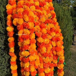 Può includere: Un'esposizione vibrante di ghirlande di calendule, che mostra una ricca miscela di tonalità arancioni e gialle. Le ghirlande sono fittamente confezionate, creando un aspetto pieno e strutturato. Steli e legacci verdi sono visibili, aggiungendo un elemento di contrasto. Adatto per decorazioni festive.