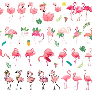 Flamingo Svg, arquivo de corte Flamingo SVG, Flamingo PNG, Flamingo svg para Cricut, Bird Svg, Flamingo Clipart, Flamingo Silhouette