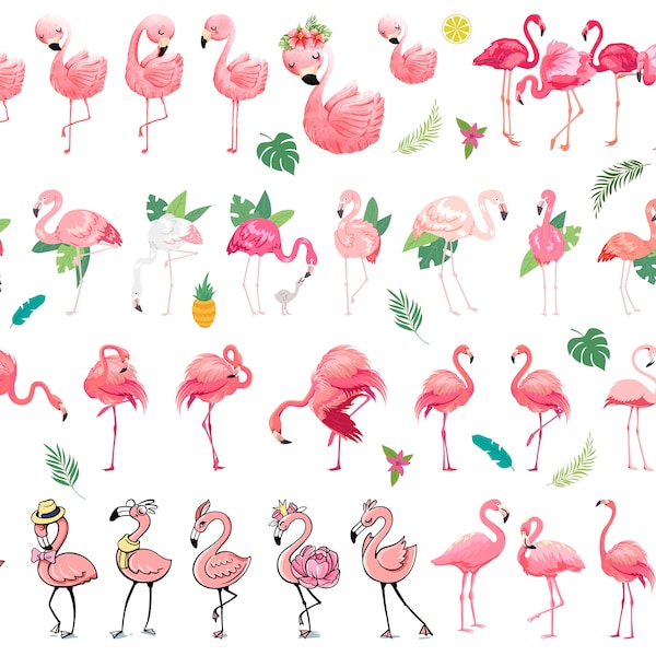 Flamingo Svg, Flamingo SVG cut file,Flamingo PNG,Flamingo svg for Cricut, Bird Svg, Flamingo Clipart, Flamingo Silhouette