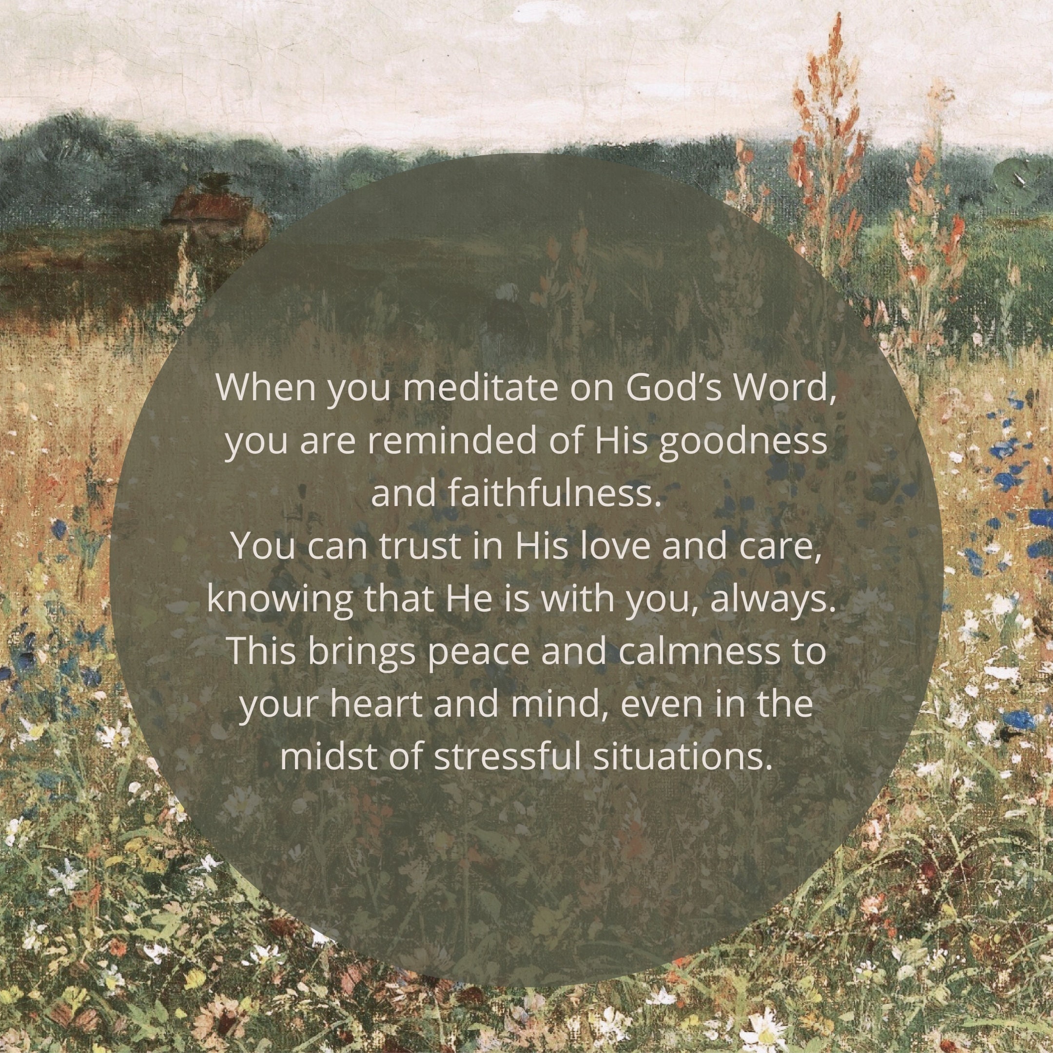 Consider the Lilies in the Field Matthew 6 NKJV Consider the Lily