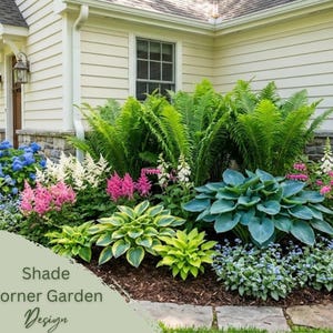 May include: A lush corner garden design featuring a variety of plants. The garden includes ferns, hostas, astilbes, and other flowering plants in shades of green, pink, white, and blue. The text "Shade Corner Garden Design" is visible.
