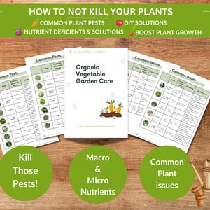 May include: A guide to organic vegetable garden care with tips on common pests, plant issues, and nutrient deficiencies. The guide includes images of pests, plants, and solutions. The text on the guide says "Organic Vegetable Garden Care".