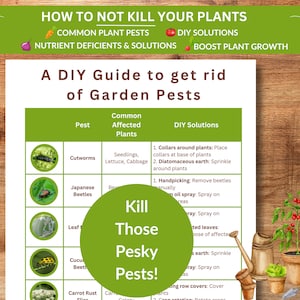 May include: An illustrated guide to getting rid of garden pests, featuring a green and brown design. The guide lists common pests, the plants they affect, and DIY solutions to get rid of them. The guide includes images of the pests and plants.